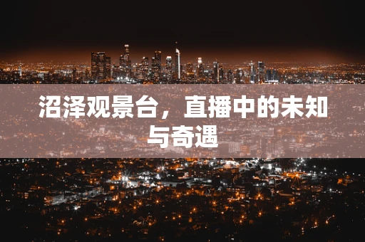 沼泽观景台，直播中的未知与奇遇