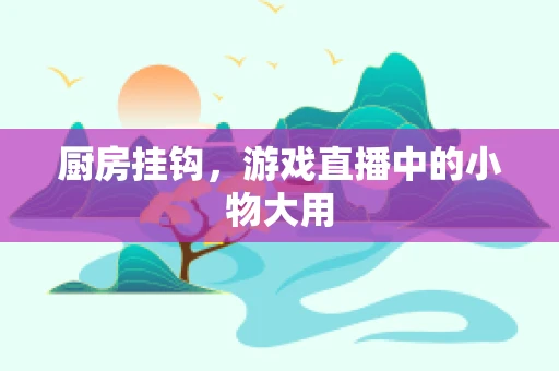 厨房挂钩，游戏直播中的小物大用