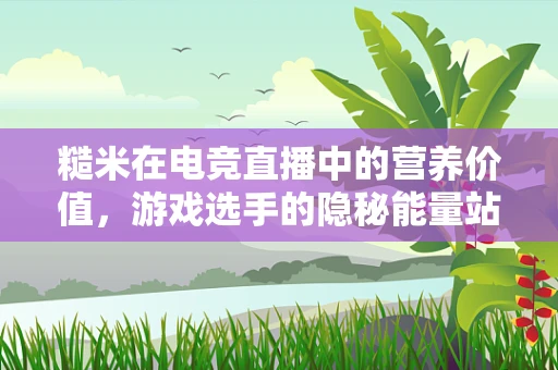 糙米在电竞直播中的营养价值，游戏选手的隐秘能量站？