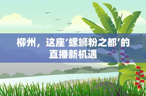 柳州，这座‘螺蛳粉之都’的直播新机遇