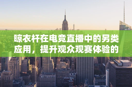 晾衣杆在电竞直播中的另类应用，提升观众观赛体验的创意小物？