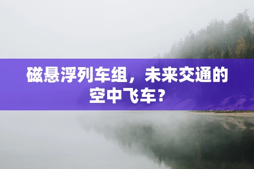 磁悬浮列车组，未来交通的空中飞车？