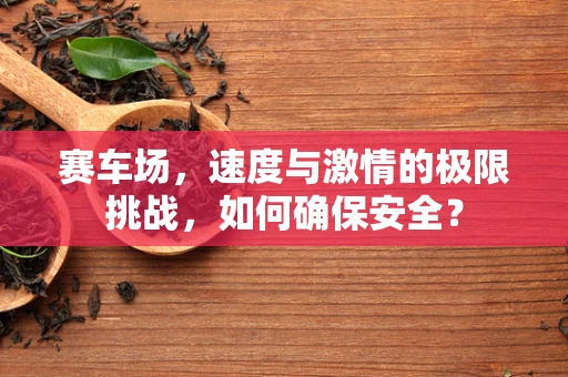 赛车场，速度与激情的极限挑战，如何确保安全？
