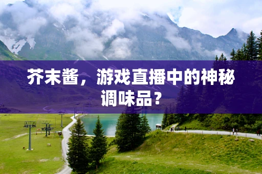 芥末酱，游戏直播中的神秘调味品？