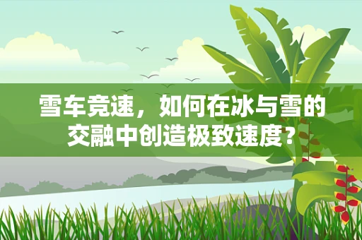雪车竞速，如何在冰与雪的交融中创造极致速度？