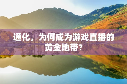 通化，为何成为游戏直播的黄金地带？
