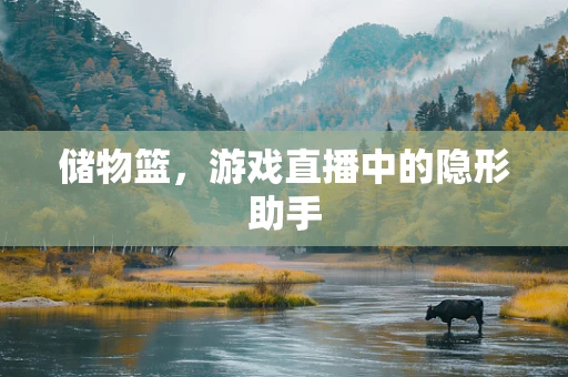 储物篮，游戏直播中的隐形助手