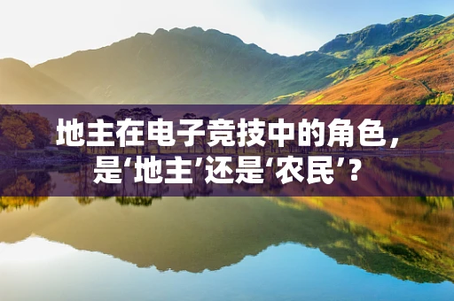 地主在电子竞技中的角色，是‘地主’还是‘农民’？