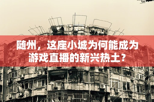 随州，这座小城为何能成为游戏直播的新兴热土？