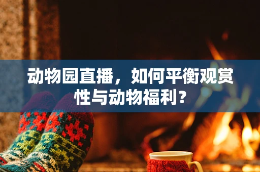 动物园直播，如何平衡观赏性与动物福利？