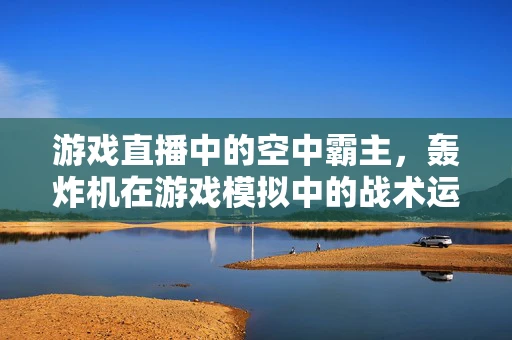 游戏直播中的空中霸主，轰炸机在游戏模拟中的战术运用