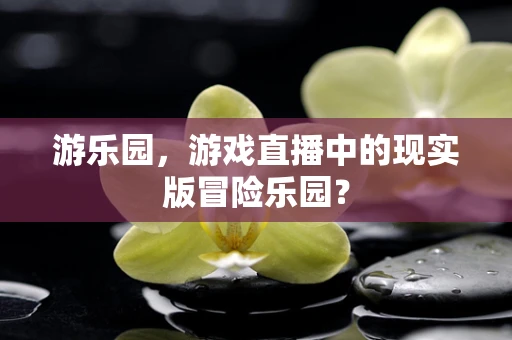 游乐园，游戏直播中的现实版冒险乐园？