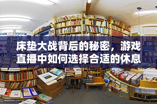 床垫大战背后的秘密，游戏直播中如何选择合适的休息装备？