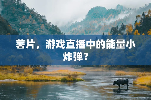 薯片，游戏直播中的能量小炸弹？