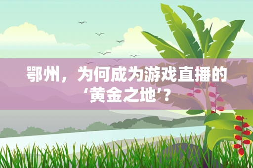 鄂州，为何成为游戏直播的‘黄金之地’？