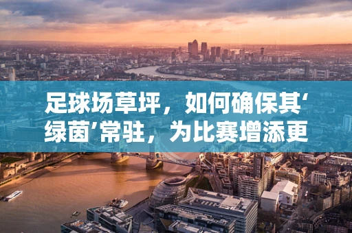 足球场草坪，如何确保其‘绿茵’常驻，为比赛增添更多光彩？