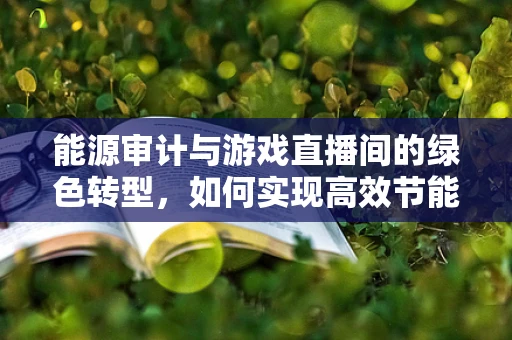 能源审计与游戏直播间的绿色转型，如何实现高效节能？