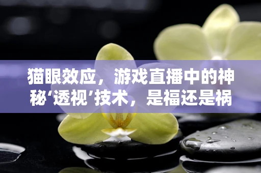 猫眼效应，游戏直播中的神秘‘透视’技术，是福还是祸？