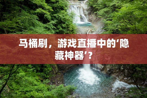 马桶刷，游戏直播中的‘隐藏神器’？