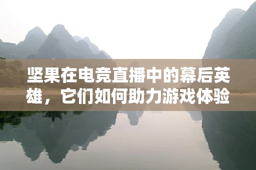坚果在电竞直播中的幕后英雄，它们如何助力游戏体验？