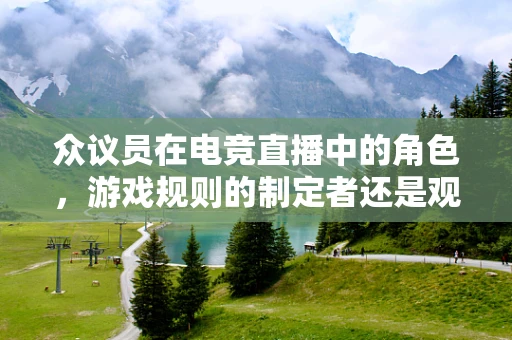 众议员在电竞直播中的角色，游戏规则的制定者还是观众意见的传递者？