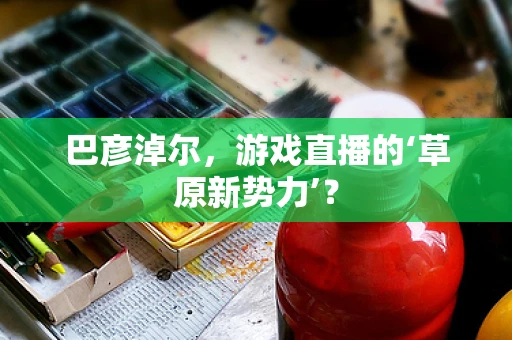 巴彦淖尔，游戏直播的‘草原新势力’？