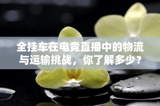 全挂车在电竞直播中的物流与运输挑战，你了解多少？