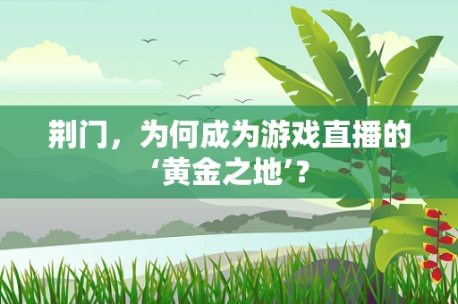 荆门，为何成为游戏直播的‘黄金之地’？