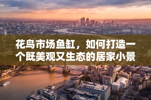 花鸟市场鱼缸，如何打造一个既美观又生态的居家小景？