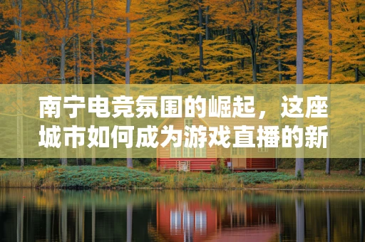南宁电竞氛围的崛起，这座城市如何成为游戏直播的新热土？