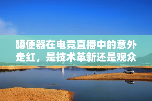 蹲便器在电竞直播中的意外走红，是技术革新还是观众恶趣味？