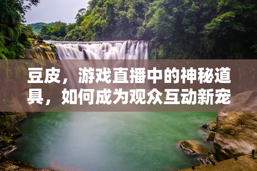 豆皮，游戏直播中的神秘道具，如何成为观众互动新宠？