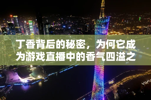 丁香背后的秘密，为何它成为游戏直播中的香气四溢之选？