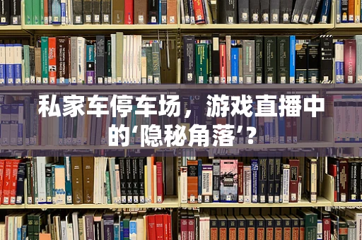 私家车停车场，游戏直播中的‘隐秘角落’？