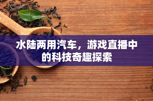 水陆两用汽车，游戏直播中的科技奇趣探索