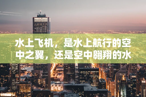 水上飞机，是水上航行的空中之翼，还是空中翱翔的水上精灵？