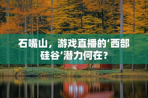 石嘴山，游戏直播的‘西部硅谷’潜力何在？