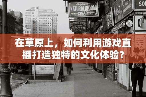 在草原上，如何利用游戏直播打造独特的文化体验？