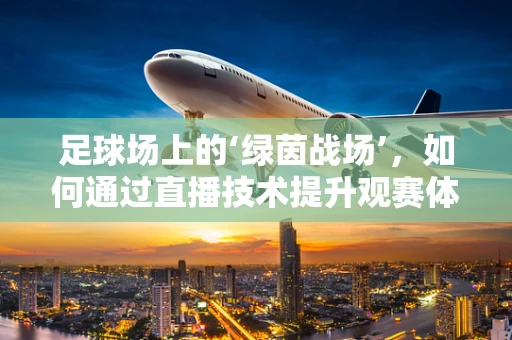 足球场上的‘绿茵战场’，如何通过直播技术提升观赛体验？