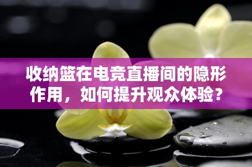 收纳篮在电竞直播间的隐形作用，如何提升观众体验？
