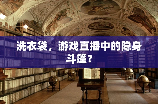 洗衣袋，游戏直播中的隐身斗篷？