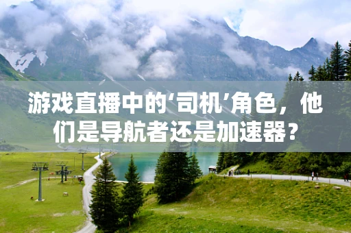 游戏直播中的‘司机’角色，他们是导航者还是加速器？