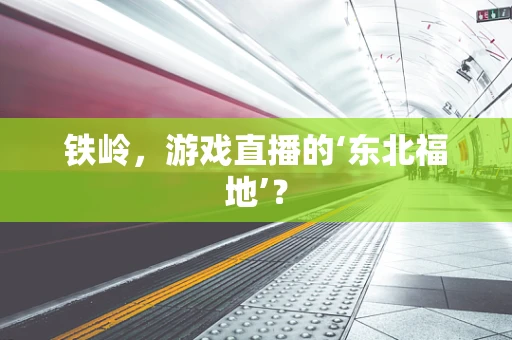 铁岭，游戏直播的‘东北福地’？