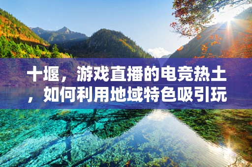 十堰，游戏直播的电竞热土，如何利用地域特色吸引玩家？