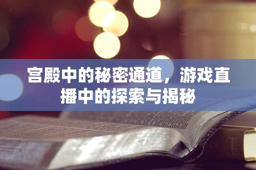 宫殿中的秘密通道，游戏直播中的探索与揭秘