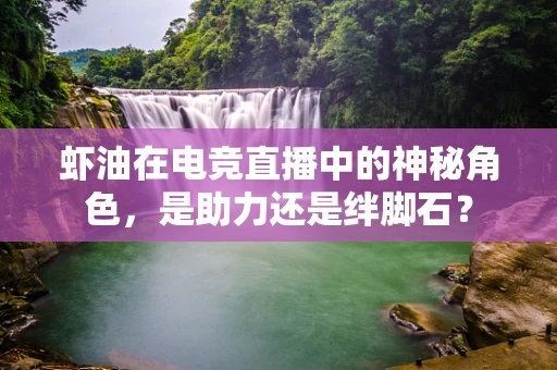 虾油在电竞直播中的神秘角色，是助力还是绊脚石？