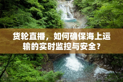 货轮直播，如何确保海上运输的实时监控与安全？