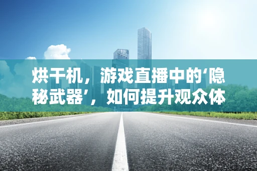 烘干机，游戏直播中的‘隐秘武器’，如何提升观众体验？