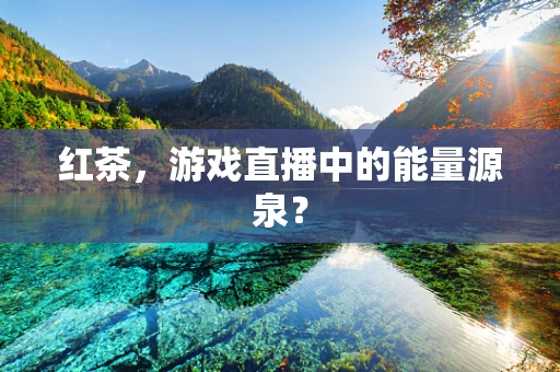 红茶，游戏直播中的能量源泉？