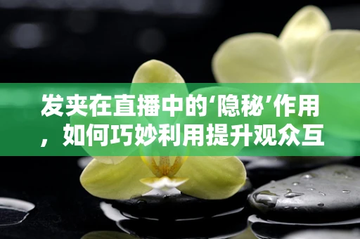 发夹在直播中的‘隐秘’作用，如何巧妙利用提升观众互动？